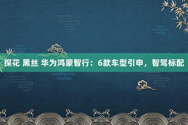 探花 黑丝 华为鸿蒙智行：6款车型引申，智驾标配