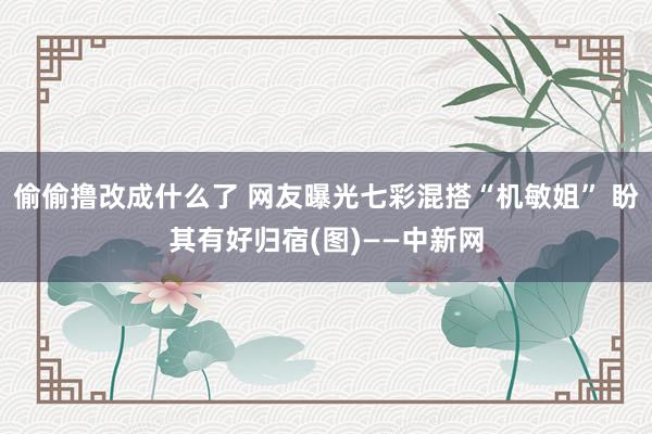 偷偷撸改成什么了 网友曝光七彩混搭“机敏姐” 盼其有好归宿(图)——中新网