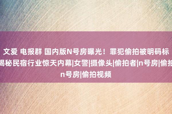 文爱 电报群 国内版N号房曝光！罪犯偷拍被明码标价，揭秘民宿